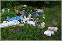 P1940454 V N
