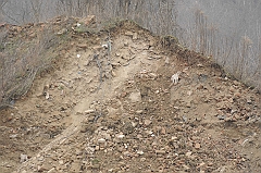 _j090374